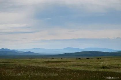 Oulan Bator J173 Mongolie