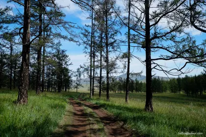 Kharkorin J150 Mongolie