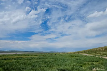 Kharkorin J150 Mongolie