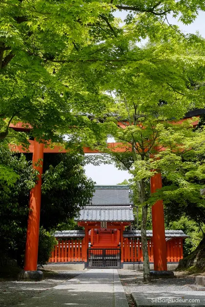 Kyoto J54 Japon