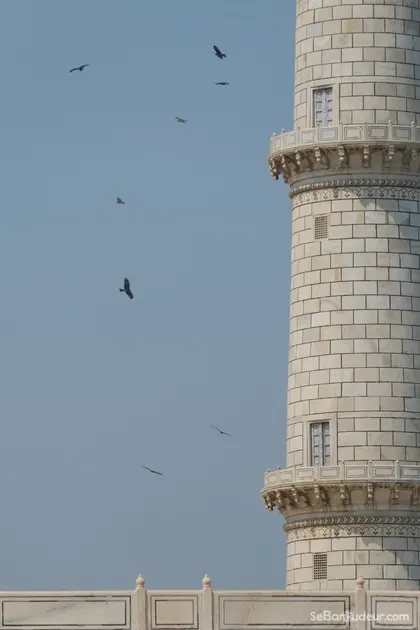 Agra