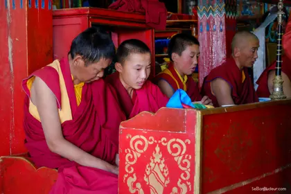 Kharkorin J150 Mongolie