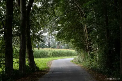 Soteska (juste avant Ljublajana)