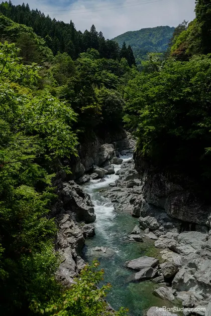 Imabari J66 Japon