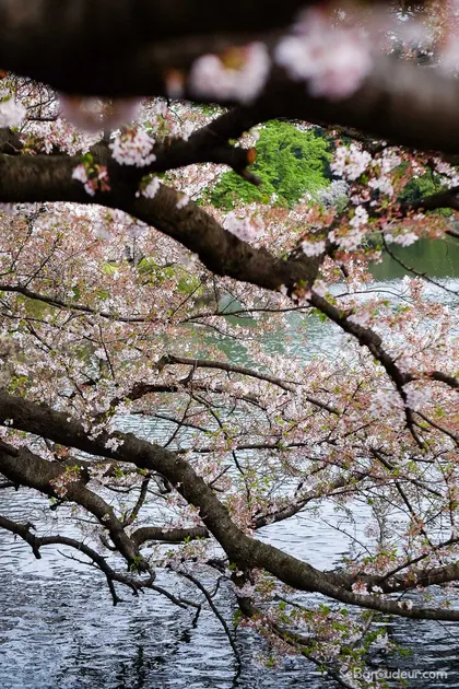 Tokyo J30 Japon