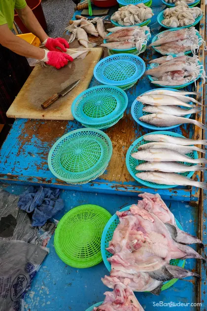 Gapyeong J100 Corée du Sud