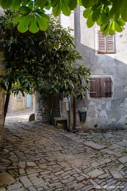 Rovinj  J106  Croatie