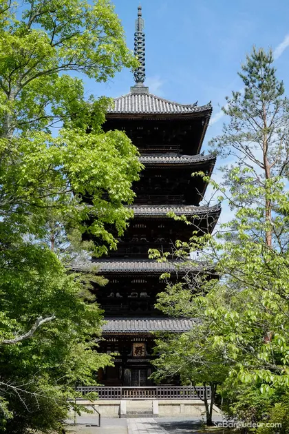 Kyoto J54 Japon