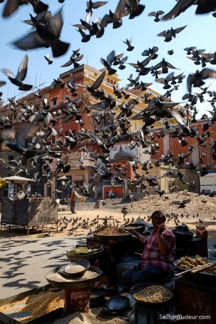 Jaipur