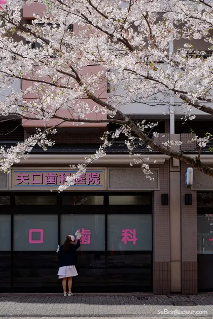 Japon