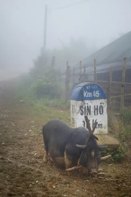 Hanoi J274 Vietnam