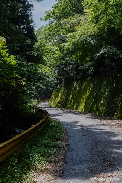 Fukuoka J84 Japon
