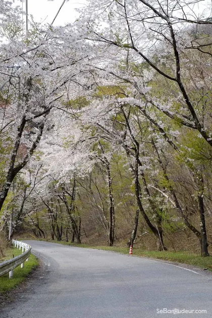 Matsumoto J44 Japon