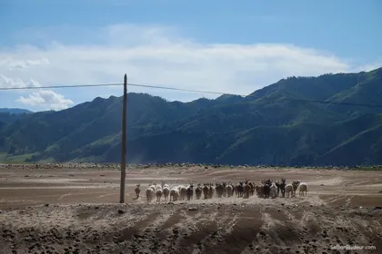 Khatgal J135 Mongolie