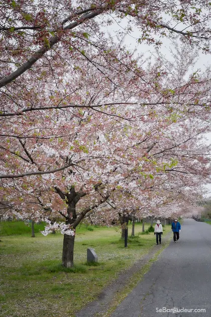Tokyo J30 Japon