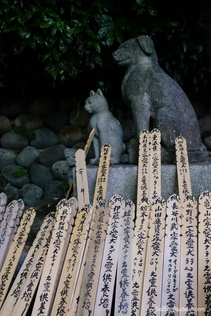 Kyoto J54 Japon