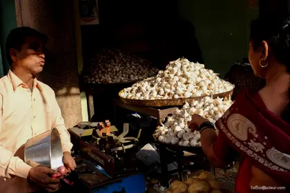 Jodhpur
