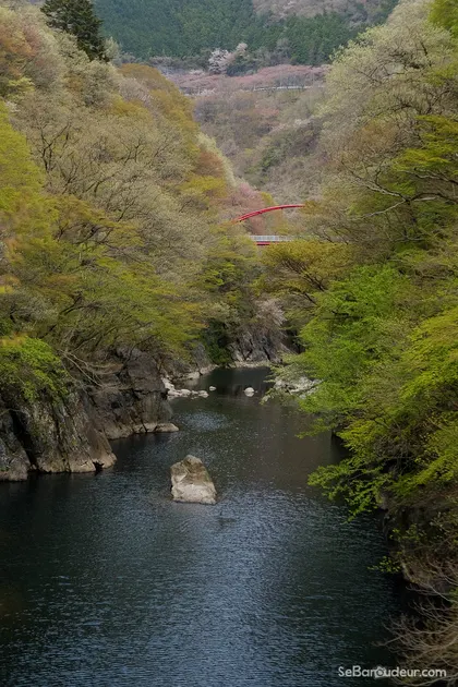 Matsumoto J44 Japon