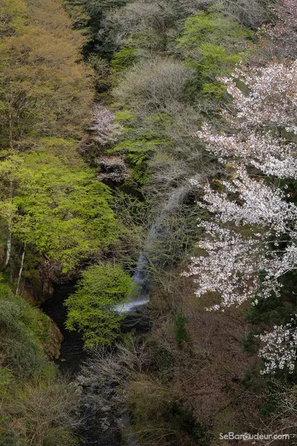 Matsumoto J44 Japon