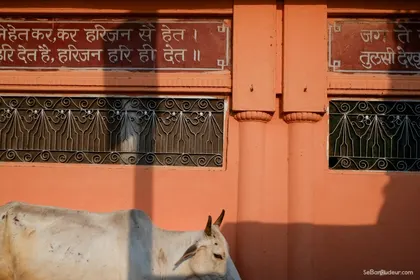Rishikesh