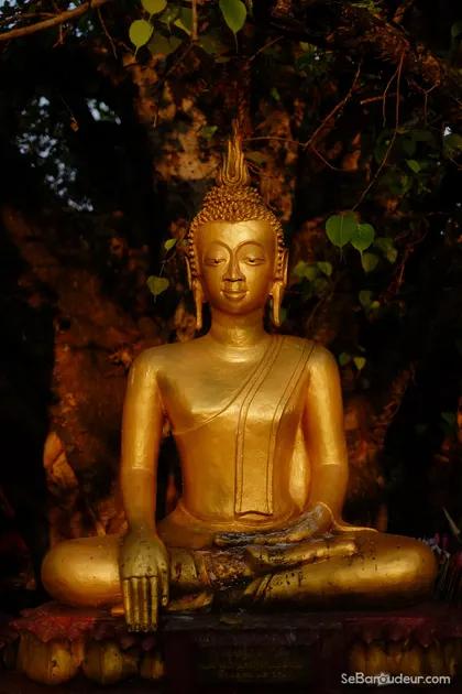 Houaxay J353 Laos
