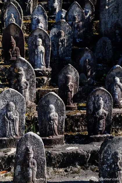 Kyoto J54 Japon