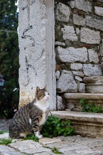 Rovinj  J106  Croatie