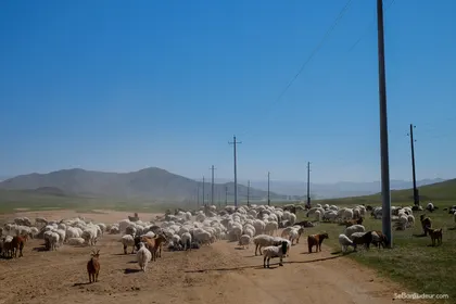 Oulan Bator J173 Mongolie