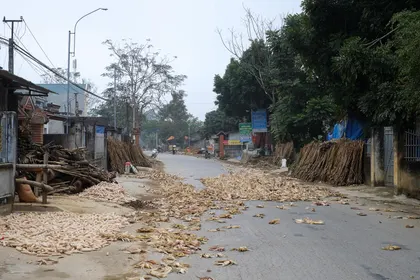 Nam Can J313 Vietnam