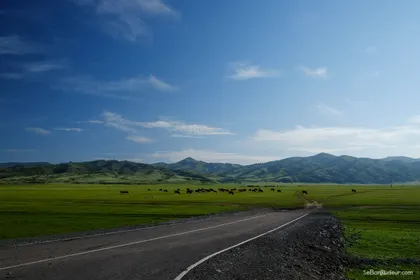 Khatgal J135 Mongolie