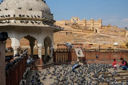 Jaipur