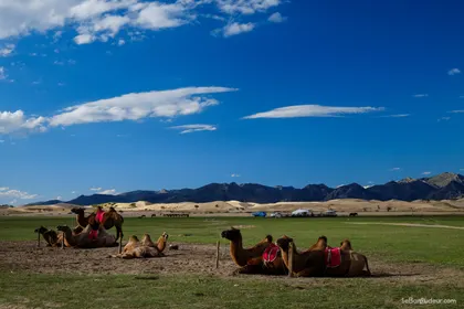 Oulan Bator J173 Mongolie