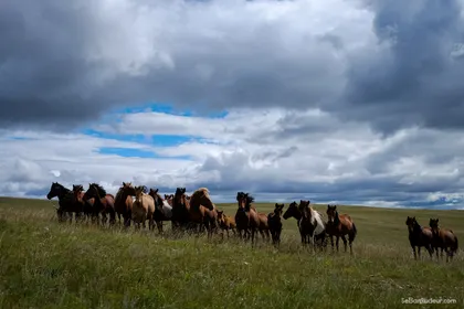 Kharkorin J150 Mongolie