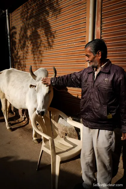 Alwar et Bhajeet